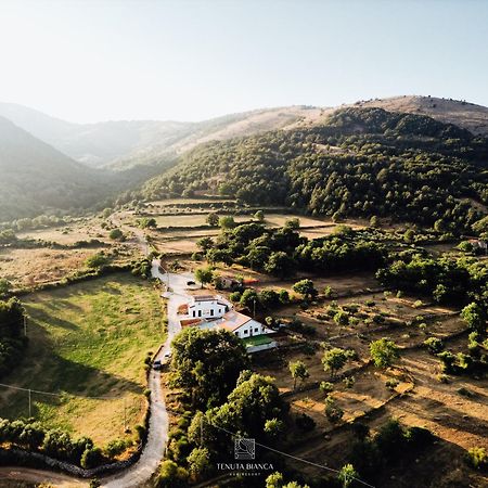 Tenuta Bianca Agriresort Sanza Bagian luar foto
