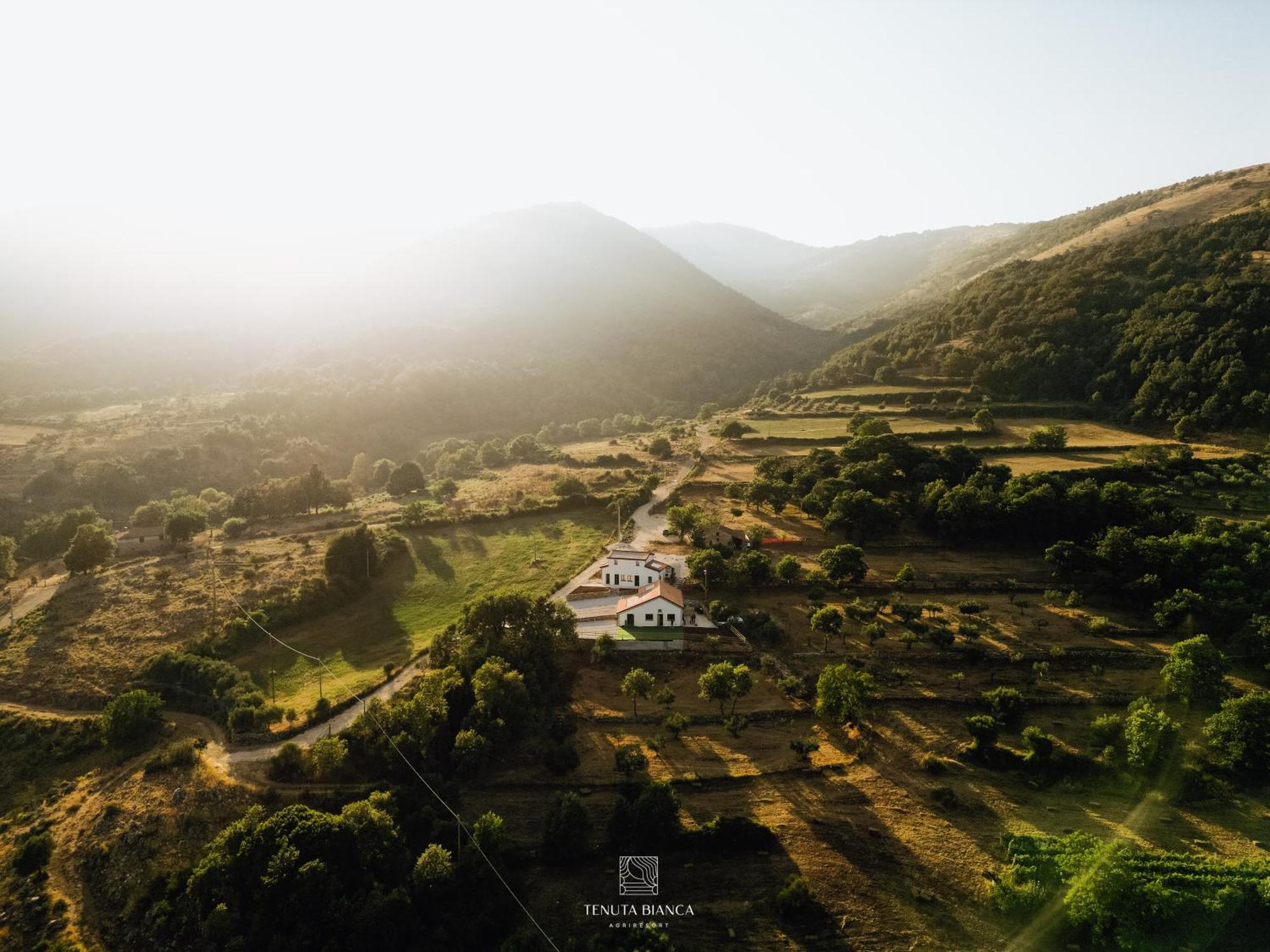 Tenuta Bianca Agriresort Sanza Bagian luar foto